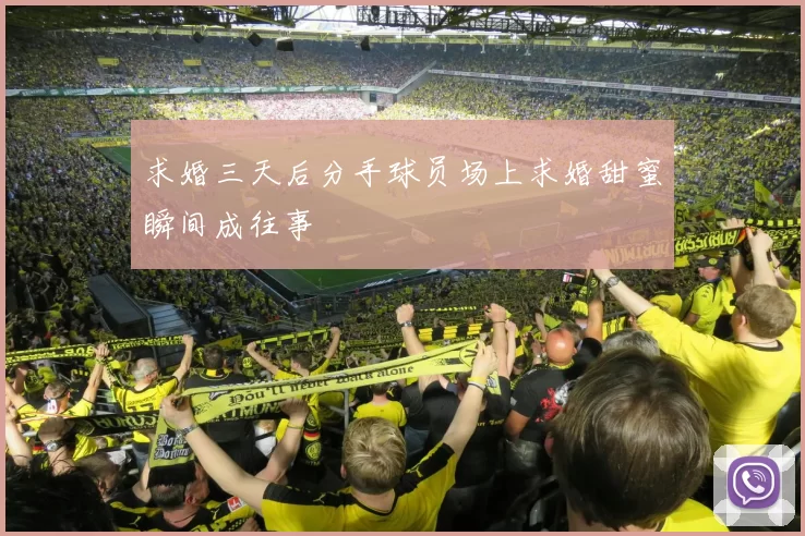 求婚三天后分手球员场上求婚甜蜜瞬间成往事